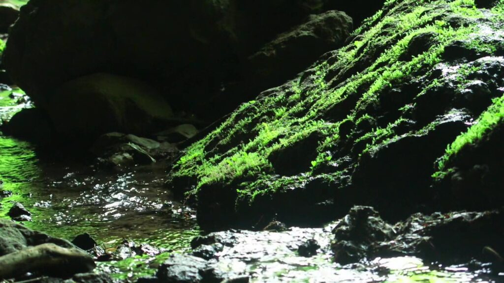 【北海道の自然】小樽の神秘的な秘境「穴滝」／ アクセス方法と必要装備を紹介！